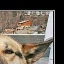 Андрій Баторик фотография #38 (источник - https://vk.com/id49054076)