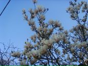 Ірина Панічева фотография #31 (источник - https://vk.com/id67275749)