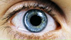 Иван Крыгин фотография #42 (источник - https://vk.com/id602612)