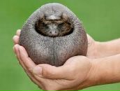 Фотография Васильевой Катерины