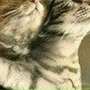 Владлєна Козачок фотография #3 (источник - https://vk.com/id98642620)