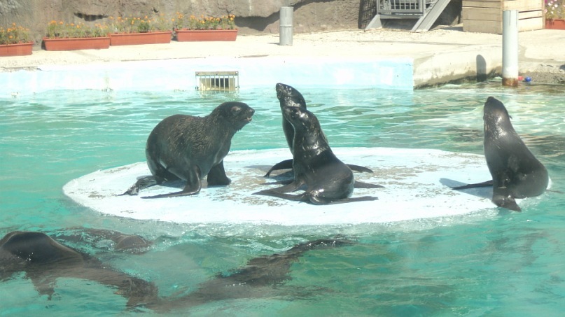 Руслан Закеев фотография #31