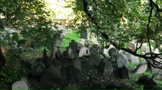 Владимир Дементьев фотография #26 (источник - https://vk.com/id227567)