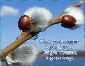 Фотография Захаренко Евгения