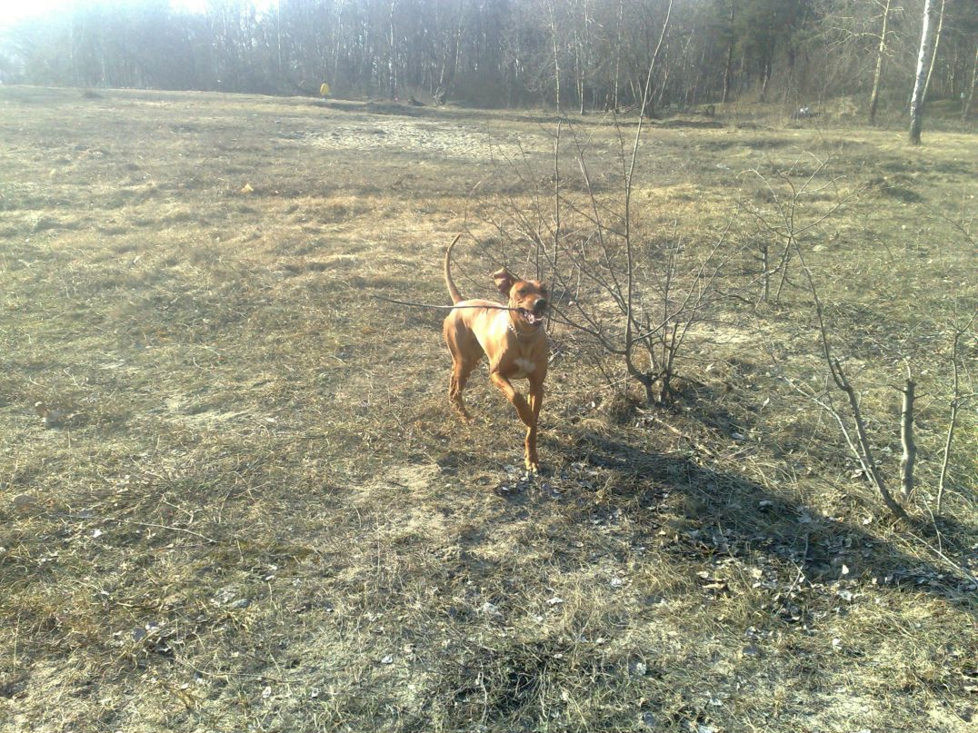 Иван Быков фотография #14