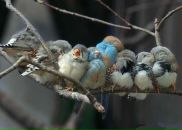 Фотография Перовой Кристины