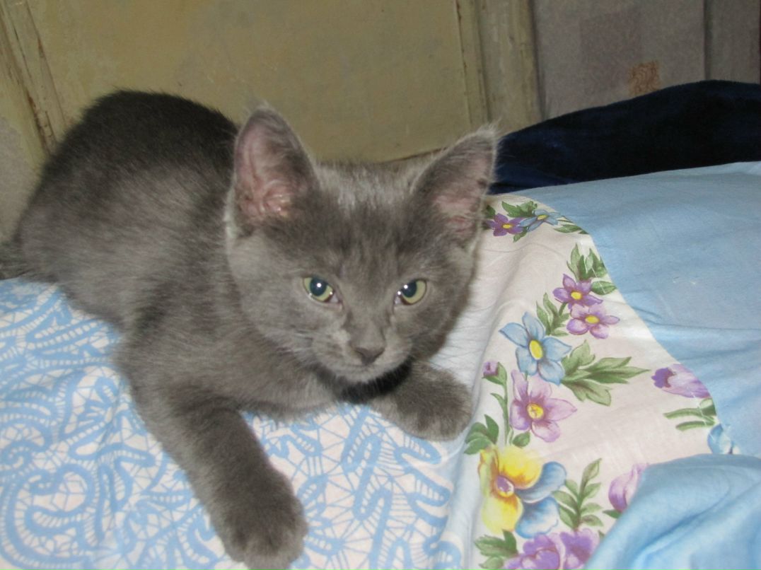 Роман Киреев фотография #42