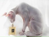 Фотография Замятиной Настюши