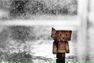 Фотография Савельева Ольга