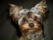 Фотография Бегишевой Елены