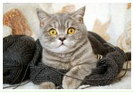 Фотография Малиной Галины