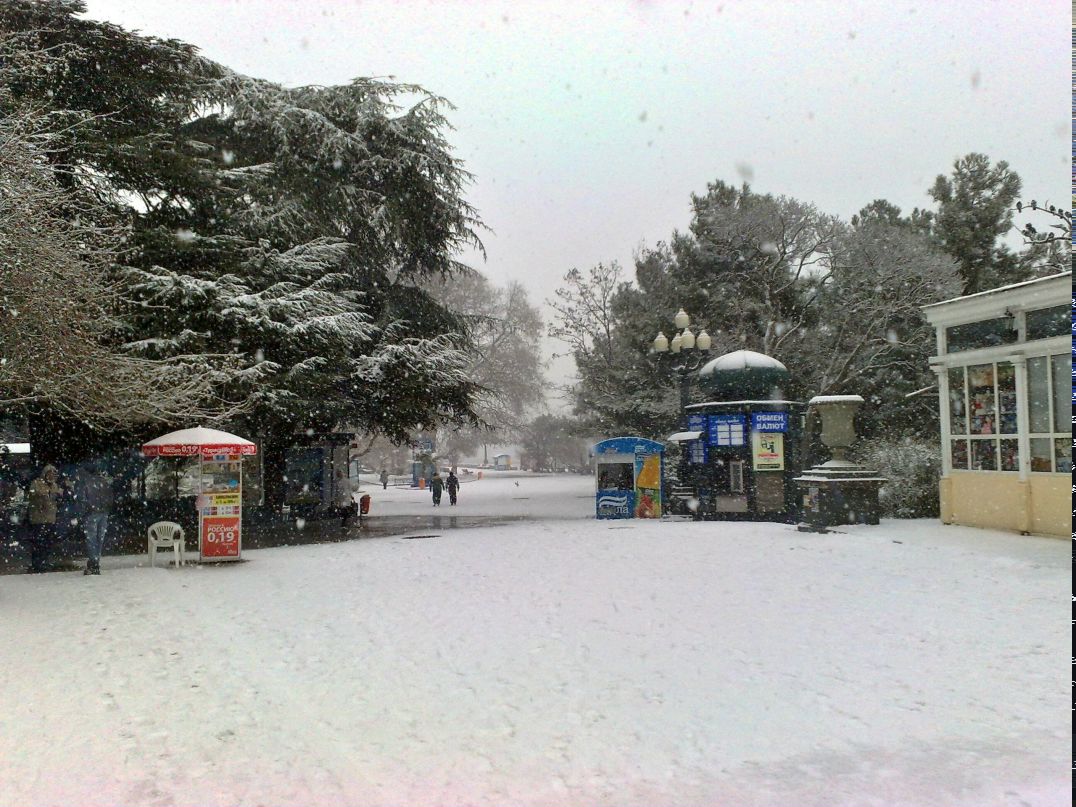 Дмитрий Синдели фотография #13