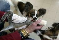 Фотография Кайдановской Наталии