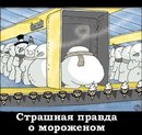 Назар Федисів фотография #39 (источник - https://vk.com/id151000411)