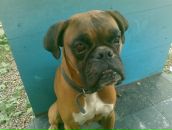 Фотография Смирновой Инны