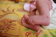 Фотография Кривенко Елены