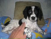 Фотография Огули Жанны