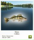 Сергій Коржан фотография #15 (источник - https://vk.com/id110134918)