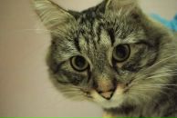 Фотография Сычёва Димы