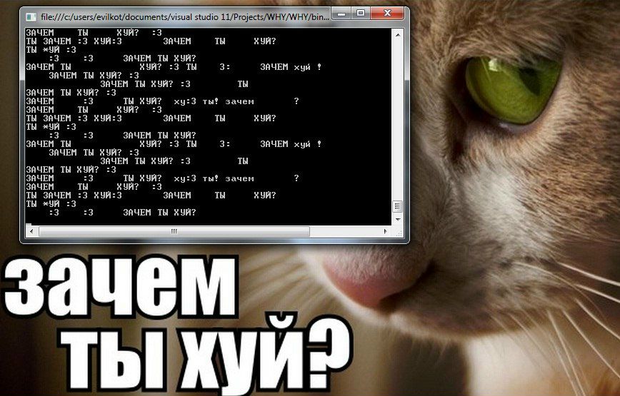 Тёма Ми фотография #25