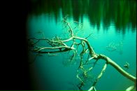 Santiago Decuba фотография #38 (источник - https://vk.com/id691073)