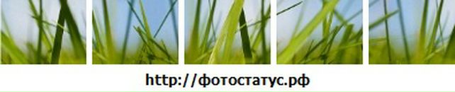 Ілліч Лотанюк фотография #47 (источник - https://vk.com/id76028375)