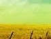 Вікочка Уліганець фотография #9 (источник - https://vk.com/id134669370)