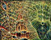 Илья Развин фотография #43 (источник - https://vk.com/id5012018)