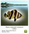 Сєрий Матвійшин фотография #31 (источник - https://vk.com/id111466338)