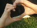 Oly♥ Love фотография #40 (источник - https://vk.com/id127005873)