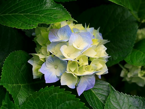 Sd Dasd фото №1