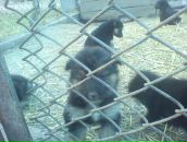 Михайло Пілавка фотография #12 (источник - https://vk.com/id30149017)