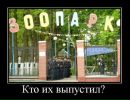 Міша Вознюк фотография #32 (источник - https://vk.com/id34819083)