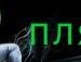 Саша Сарапін фотография #10 (источник - https://vk.com/id133118761)