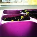 Васіль Пінчук фотография #19 (источник - https://vk.com/id93260466)