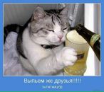 Влад Іванов фотография #41 (источник - https://vk.com/id26275979)