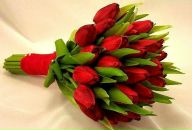 Фотография Теричевой Евгении