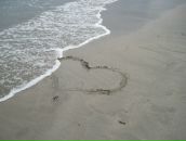 Олексій Дубровський фотография #12 (источник - https://vk.com/id74371538)