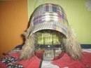 Любовь Κарасева фотография #18 (источник - https://vk.com/id161664771)