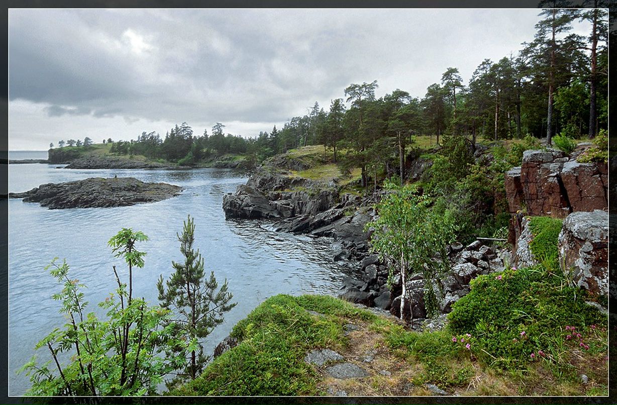 Дмитрий Модестов фотография #35