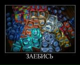 Дмитрий Царев фотография #41 (источник - https://vk.com/id2889691)