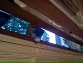 Анна Алфёрова фотография #19 (источник - https://vk.com/id202296)