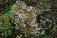 Виталий Маланин фотография #26 (источник - https://vk.com/id698311)