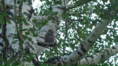 Фотография Зуева Карина