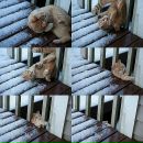 Дарья Тян фотография #6 (источник - https://vk.com/id719832)