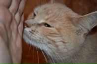 Фотография Катериной Екатерины