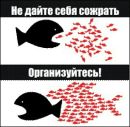 Фотография Лебедева Игоря