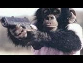 Фотография Агеенко Александра