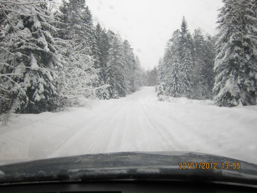 Сергей Новков фотография #47