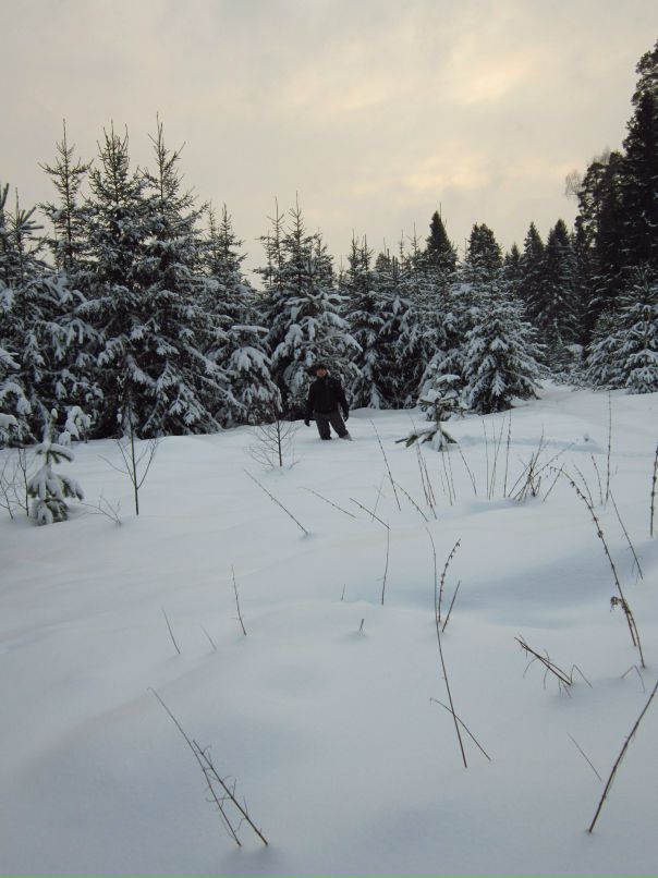 Сергей Новков фотография #46